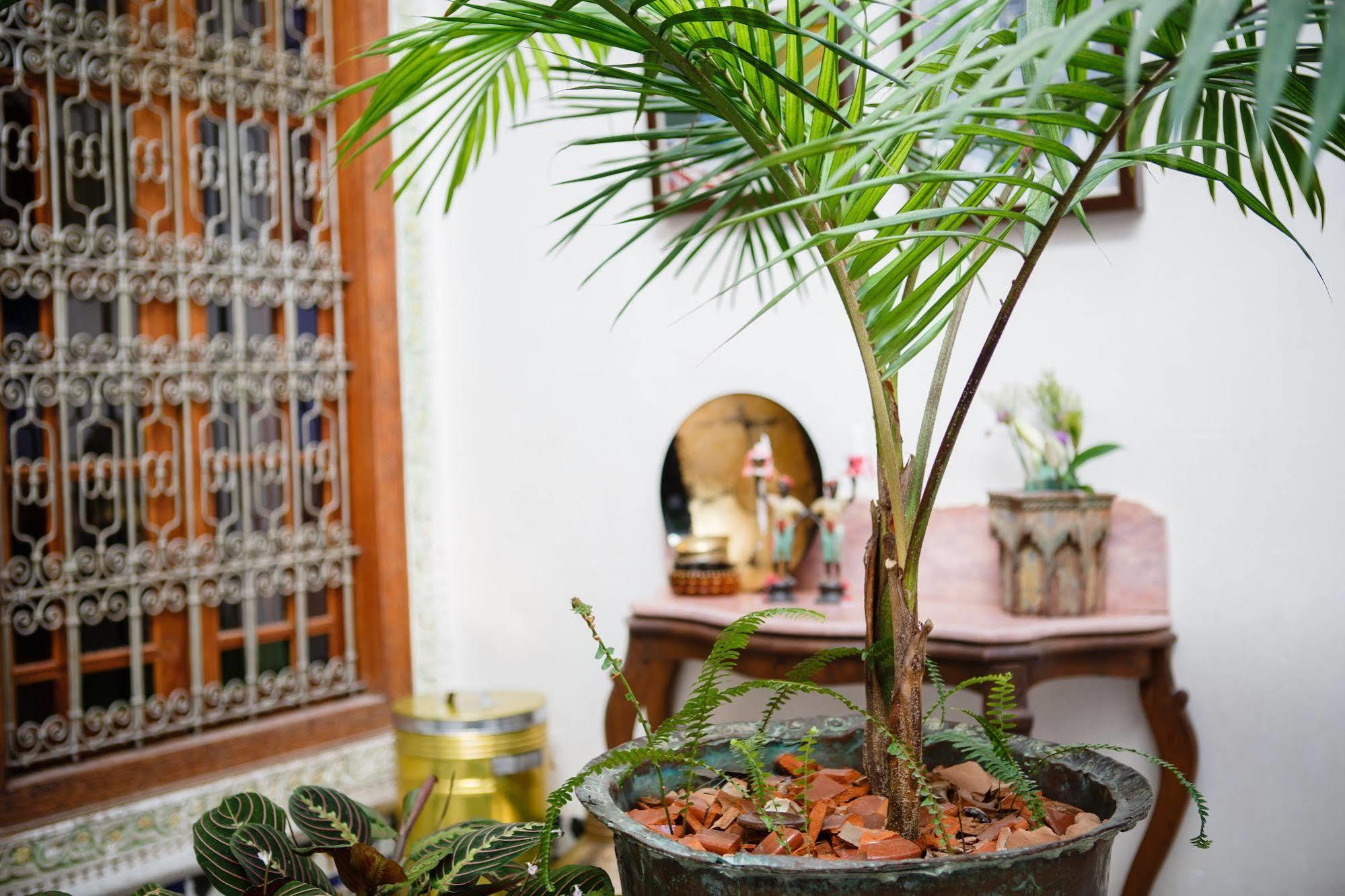 Riad Idrissy Fez Exterior foto
